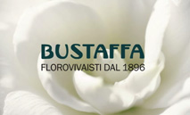 Bustaffa