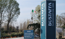 Bustaffa