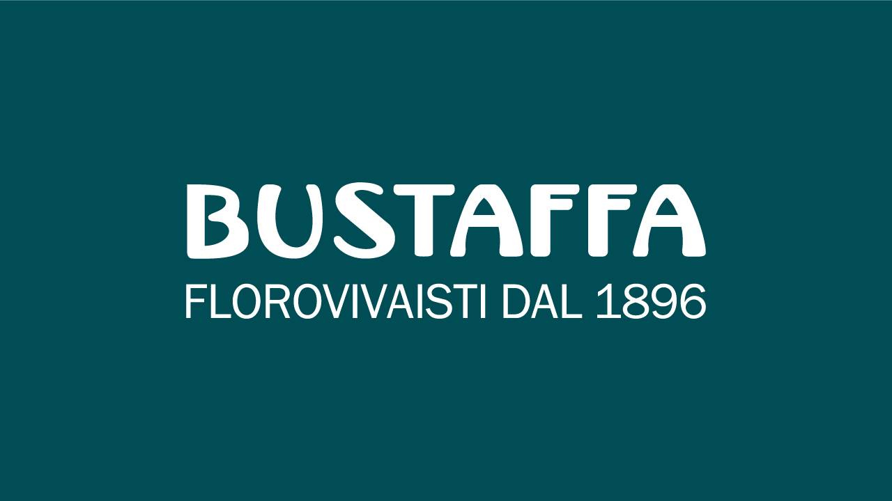 Bustaffa